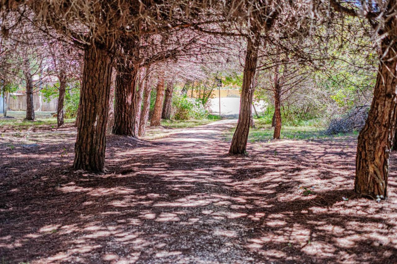 Bosco Canoro Bibione Resort Exteriér fotografie